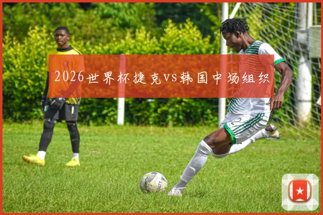 2026世界杯捷克vs韩国中场组织