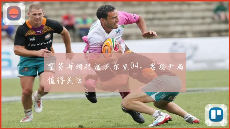 霍芬海姆对话沙尔克04，客场开局值得关注