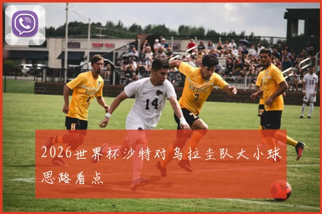 2026世界杯沙特对乌拉圭队大小球思路看点