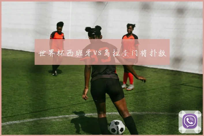 世界杯西班牙vs乌拉圭门将扑救