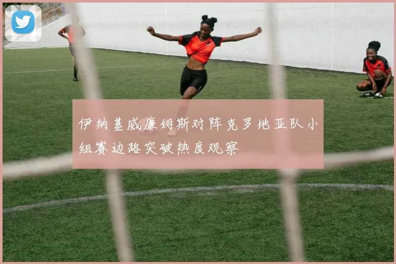 伊纳基威廉姆斯对阵克罗地亚队小组赛边路突破热度观察