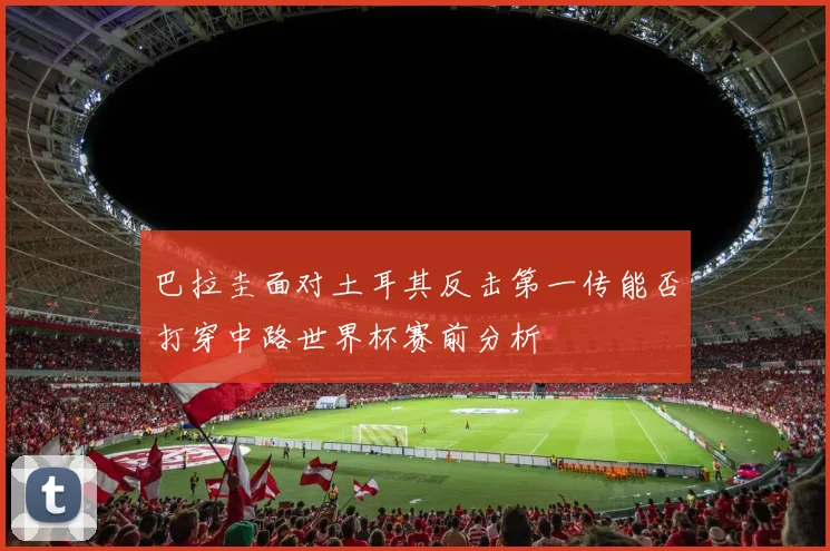巴拉圭面对土耳其反击第一传能否打穿中路世界杯赛前分析